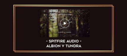 Spitfire Audio - Albion V Tundra digital courses