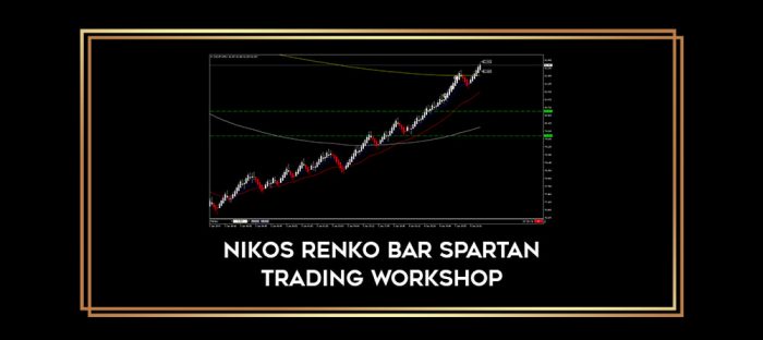 Nikos Renko Bar Spartan Trading Workshop Online courses