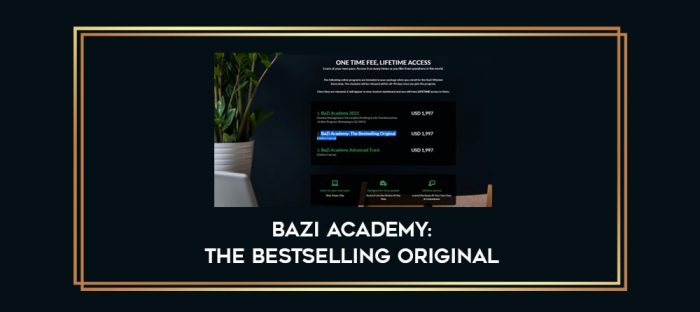 BaZi Academy: The Bestselling Original digital courses