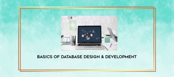 Basics of Database Design & Development digital courses