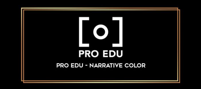 PRO EDU - NARRATIVE COLOR digital courses