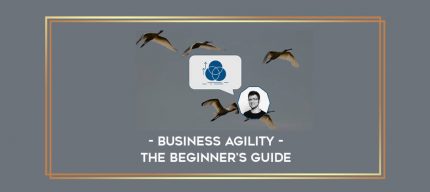 Business Agility - the Beginner's Guide digital courses