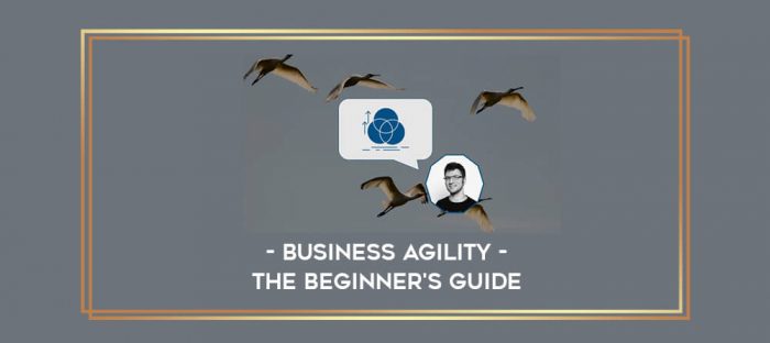 Business Agility - the Beginner's Guide digital courses