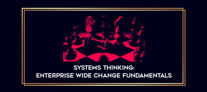 Systems Thinking: Enterprise Wide Change Fundamentals digital courses