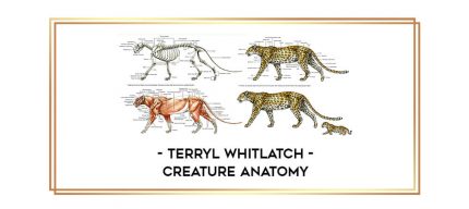 Terryl Whitlatch - Creature Anatomy digital courses