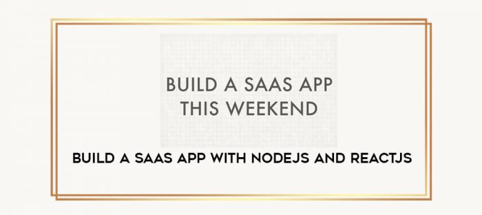 Build a SAAS App with NodeJS and ReactJS digital courses