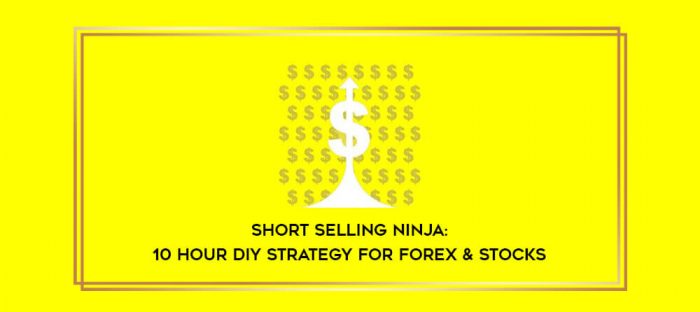Short Selling Ninja: 10 Hour DIY Strategy for Forex & Stocks digital courses