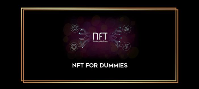 NFT for Dummies digital courses