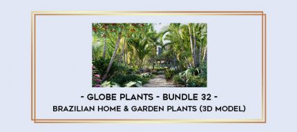 Globe plants - Bundle 32 - Brazilian Home & Garden Plants (3D Model) digital courses