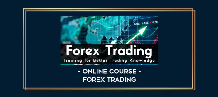 Online Course - Forex Trading digital courses