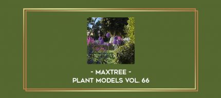 Maxtree - Plant Models Vol. 66 digital courses