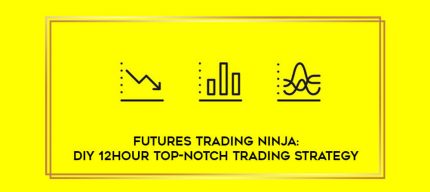 Futures Trading Ninja: DIY 12Hour TOP-NOTCH Trading Strategy digital courses
