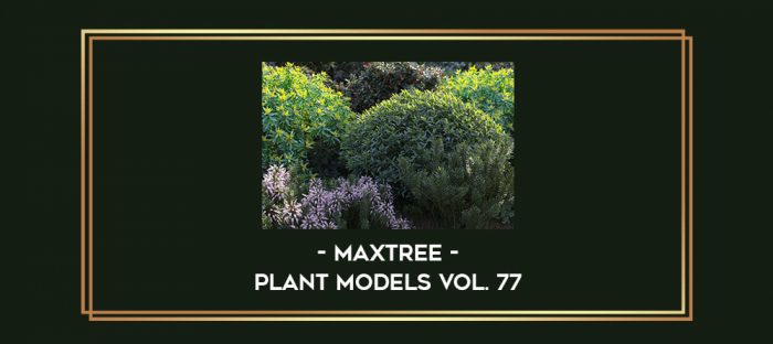 Maxtree - Plant Models Vol. 77 digital courses