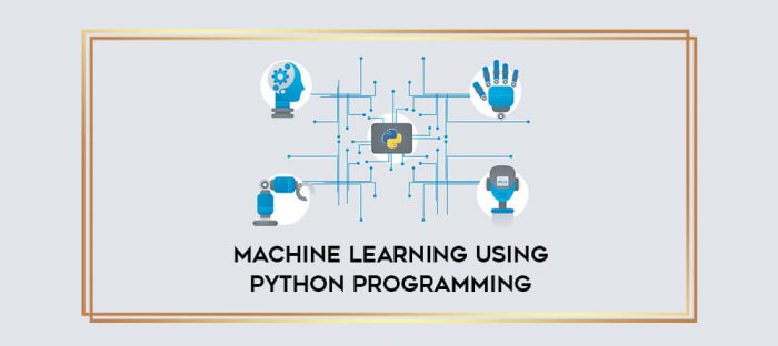 Machine Learning using Python Programming digital courses