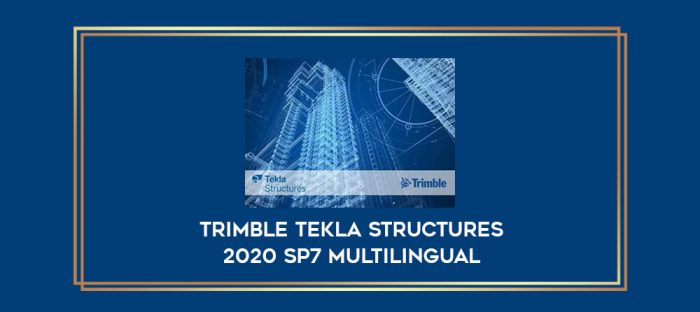 Trimble Tekla Structures 2020 SP7 Multilanguage digital courses