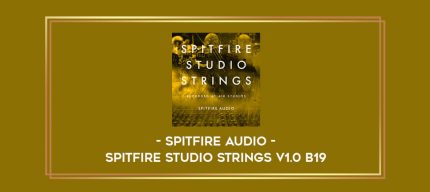 Spitfire Audio - Spitfire Studio Strings V1.0 b19 digital courses