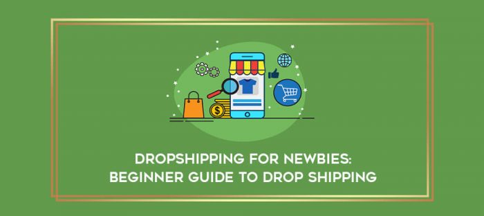 Dropshipping For Newbies: Beginner Guide to Drop Shipping digital courses