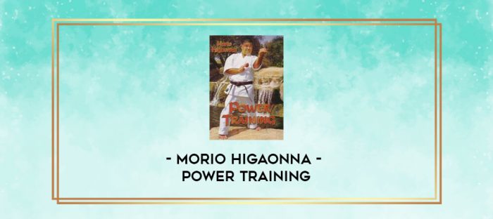 MORIO HIGAONNA - POWER TRAINING digital courses
