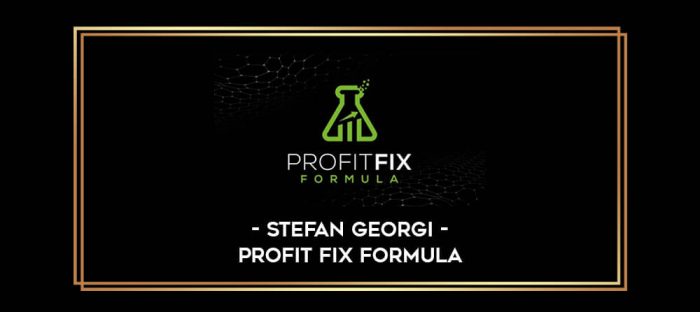 Stefan Georgi - Profit Fix Formula digital courses