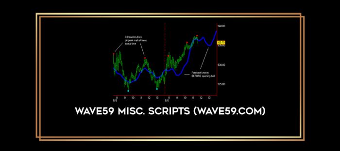 Wave59 Misc. Scripts (wave59.com) digital courses