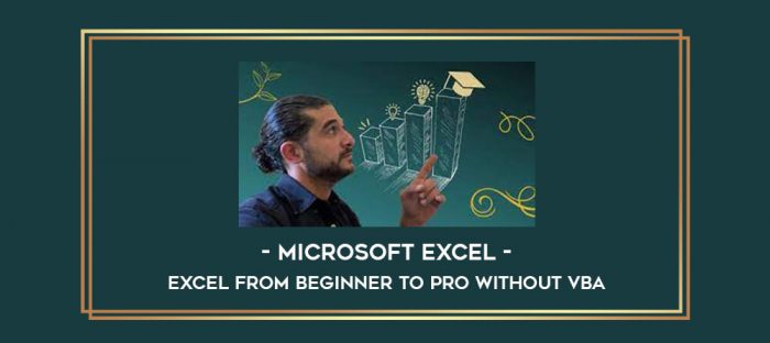 Microsoft Excel - Excel from Beginner to Pro without VBA digital courses