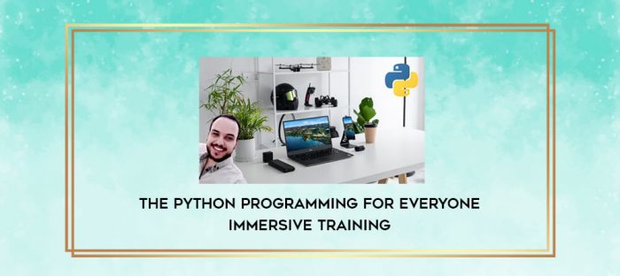 The Python Programming For Everyone Immersive Training digital courses