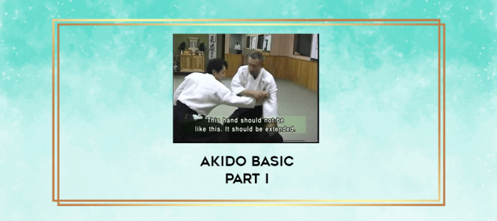 Akido Basic Part I digital courses
