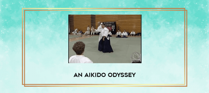 An Aikido Odyssey digital courses