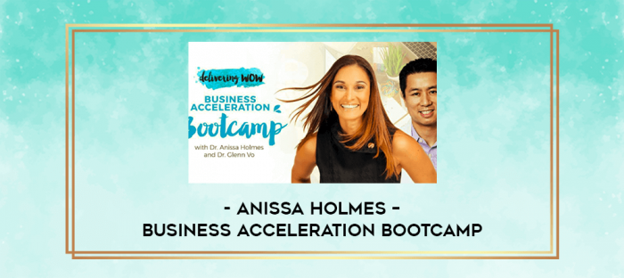 Anissa Holmes - Business Acceleration Bootcamp digital courses