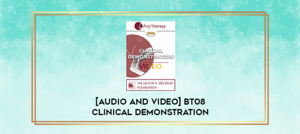 BT08 Clinical Demonstration 03 - Connecting with the Inner Self in Psychotherapy - Stephen Gilligan