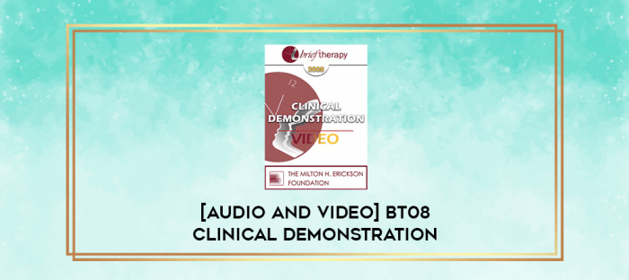 BT08 Clinical Demonstration 03 - Connecting with the Inner Self in Psychotherapy - Stephen Gilligan