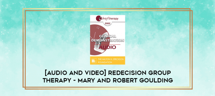 [Audio and Video] Redecision Group Therapy - Mary and Robert Goulding digital courses