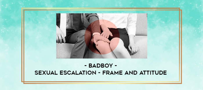 BadBoy - Sexual Escalation - Frame and Attitude digital courses