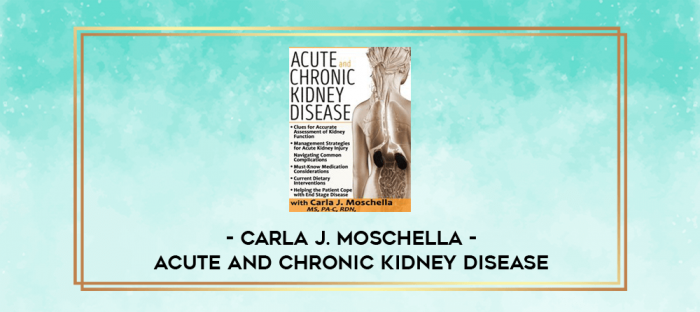 Acute and Chronic Kidney Disease - Carla J. Moschella digital courses