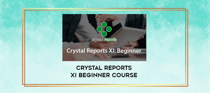 Crystal Reports XI Beginner Course digital courses