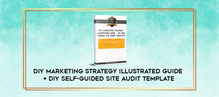 DIY Marketing Strategy Illustrated Guide + DIY Self-Guided Site Audit Template digital courses