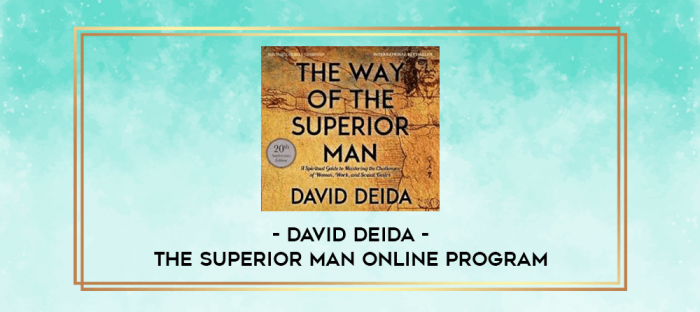 David Deida - The Superior Man Online Program digital courses