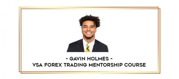 Gavin Holmes - VSA Forex Trading Mentorship Course digital courses