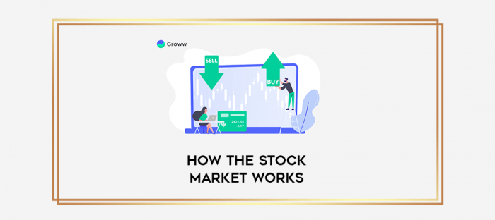 How the Stock Market Works digital courses