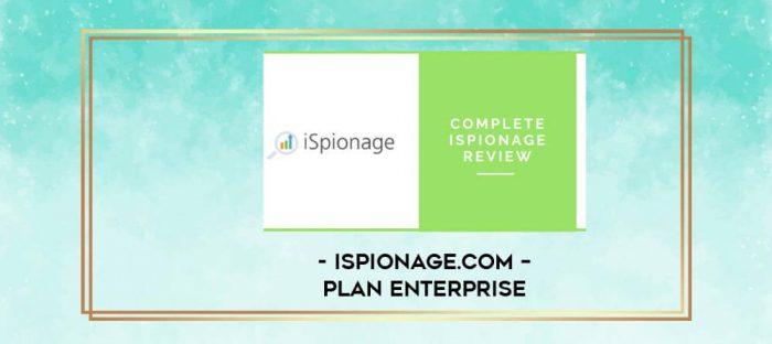 Ispionage.com - Plan ENTERPRISE digital courses