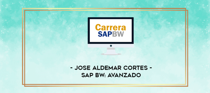 Jose Aldemar Cortes - SAP BW: Avanzado digital courses