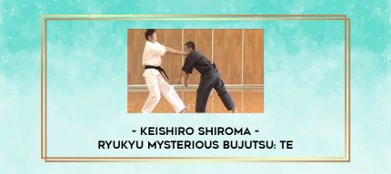 KEISHIRO SHIROMA - RYUKYU MYSTERIOUS BUJUTSU: TE digital courses