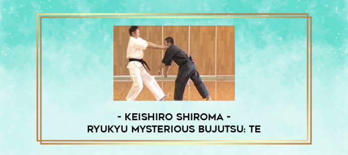 KEISHIRO SHIROMA - RYUKYU MYSTERIOUS BUJUTSU: TE digital courses