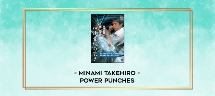 MINAMI TAKEHIRO - POWER PUNCHES digital courses