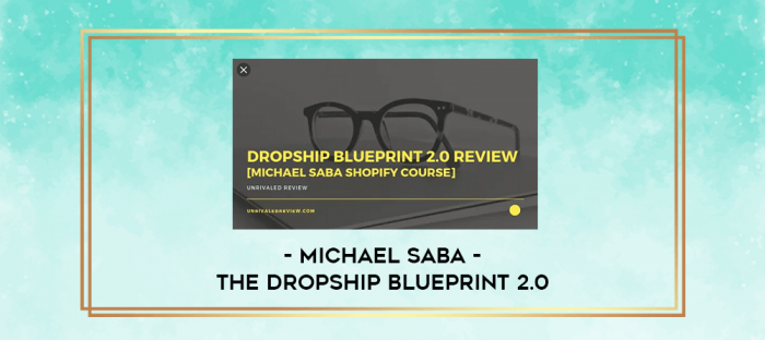 Michael Saba - The Dropship Blueprint 2.0 digital courses
