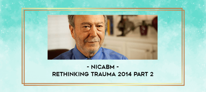 NICABM - Rethinking Trauma 2014 Part 2 digital courses