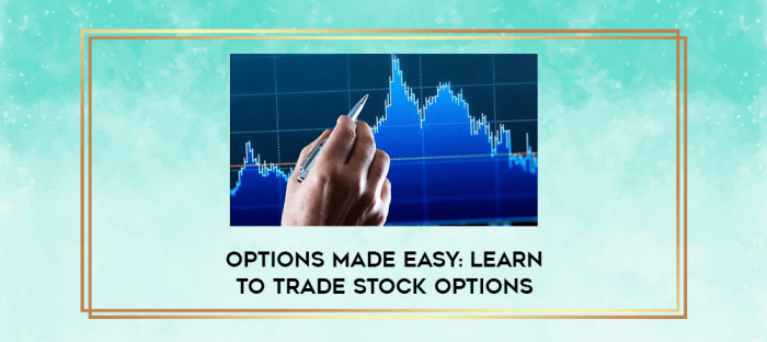 Options Made Easy: Learn to Trade Stock Options digital courses