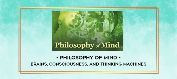Philosophy of Mind - Brains