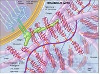 The Living Matrix Series - Primary Respiration