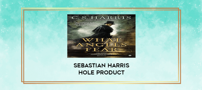 Sebastian Harris Hole Product digital courses